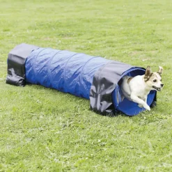 Agility Tunnel