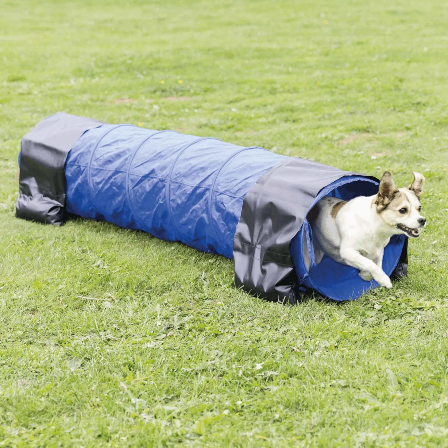 Agility Tunnel