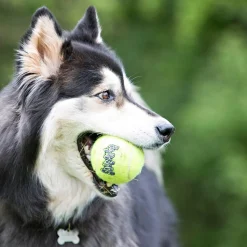 AirDog SqueakAir Ball Dog Toy