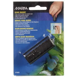 Algae Magnet