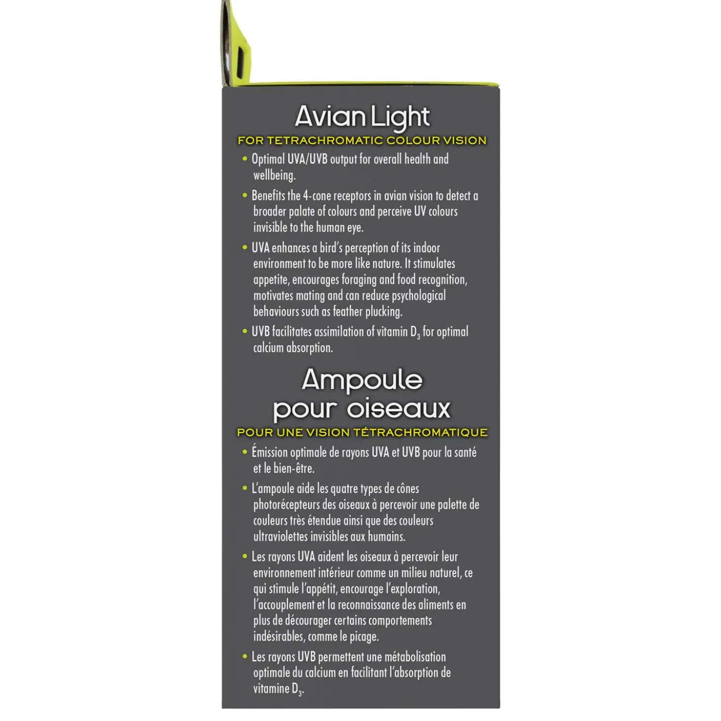 Avian Light