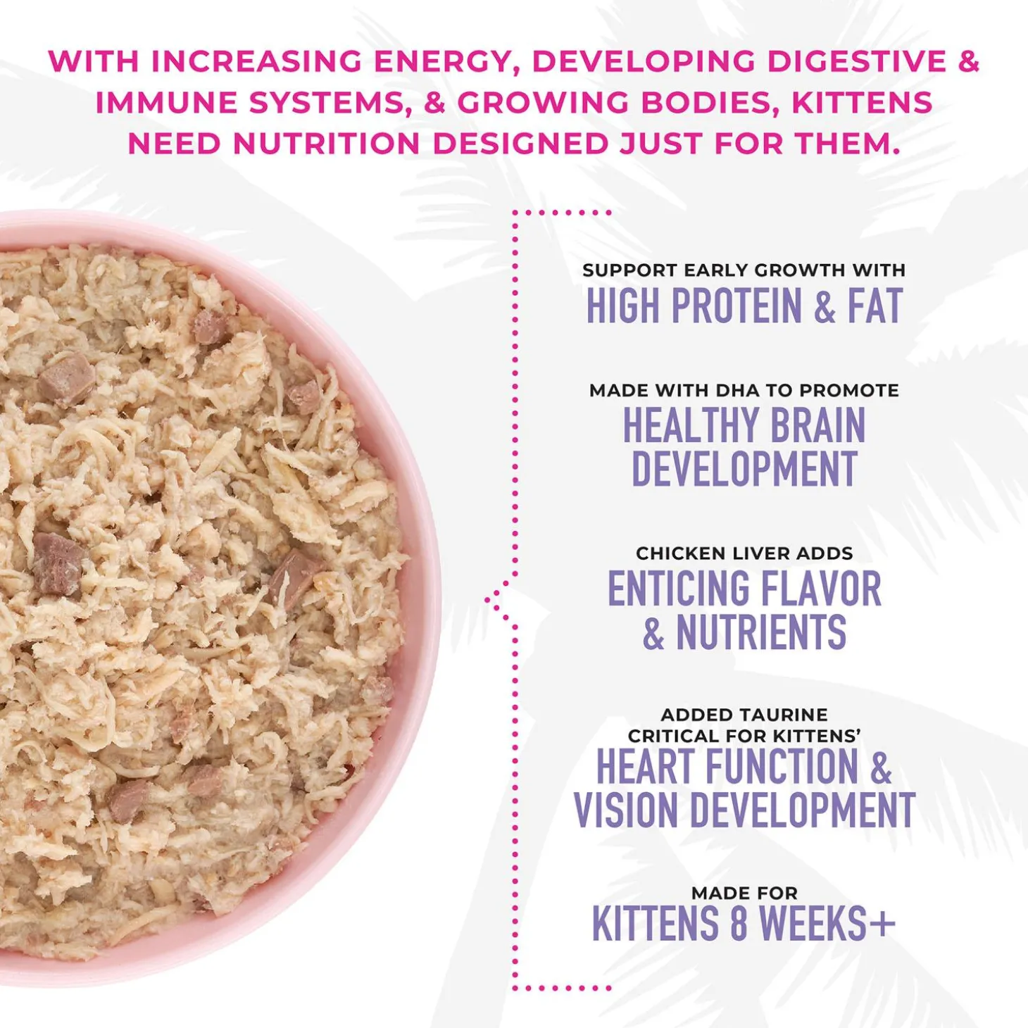 Baby Chicken & Egg Recipe Kitten Cat Food