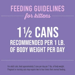 Baby Chicken & Egg Recipe Kitten Cat Food