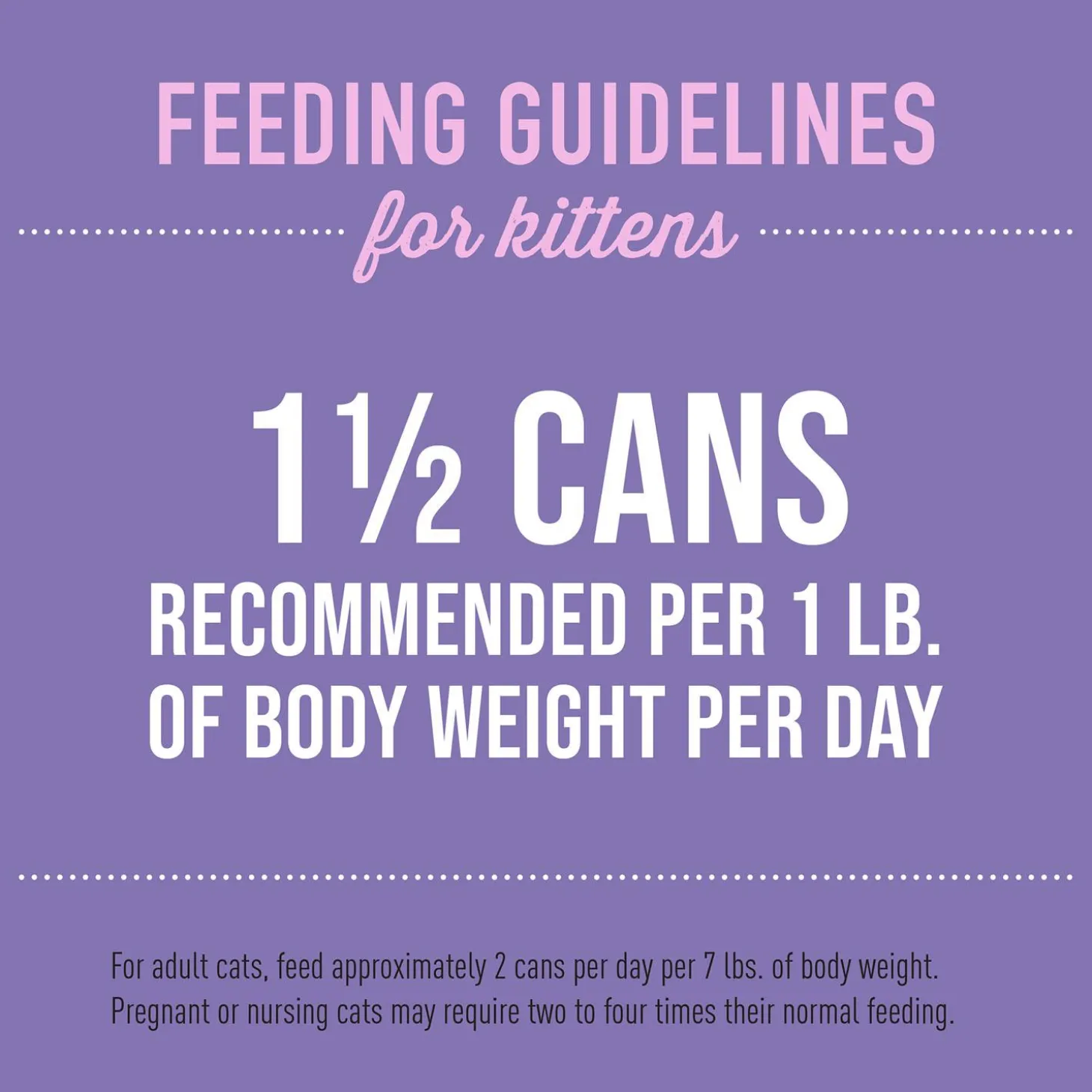Baby Chicken & Egg Recipe Kitten Cat Food