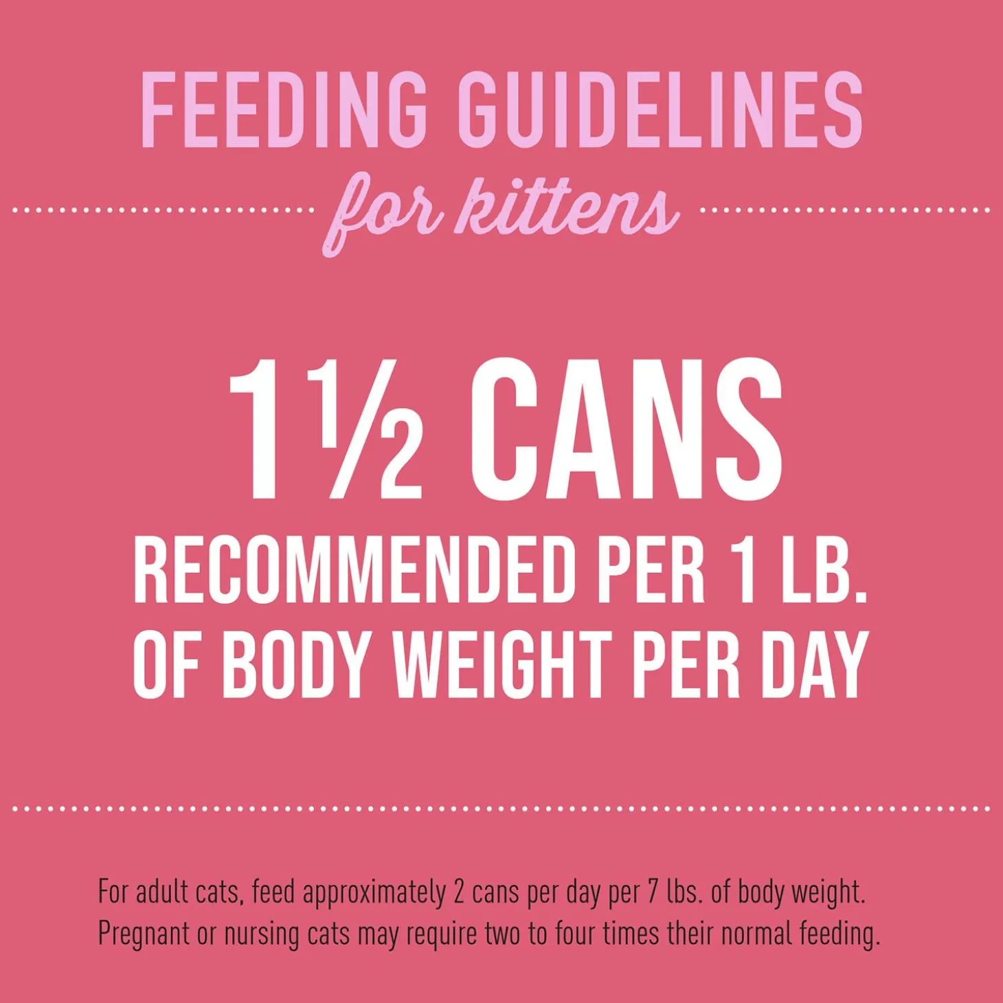 Baby Chicken & Salmon Recipe Kitten Cat Food