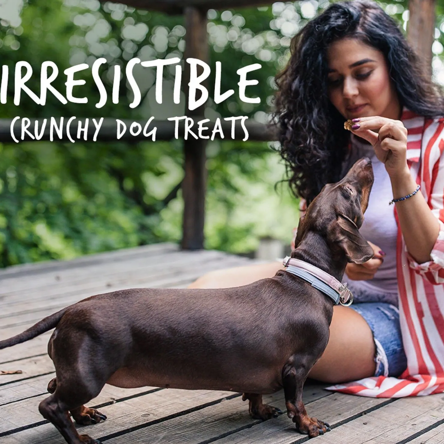 Baked Pumpkin & Cranberry Flavour Dog Treats