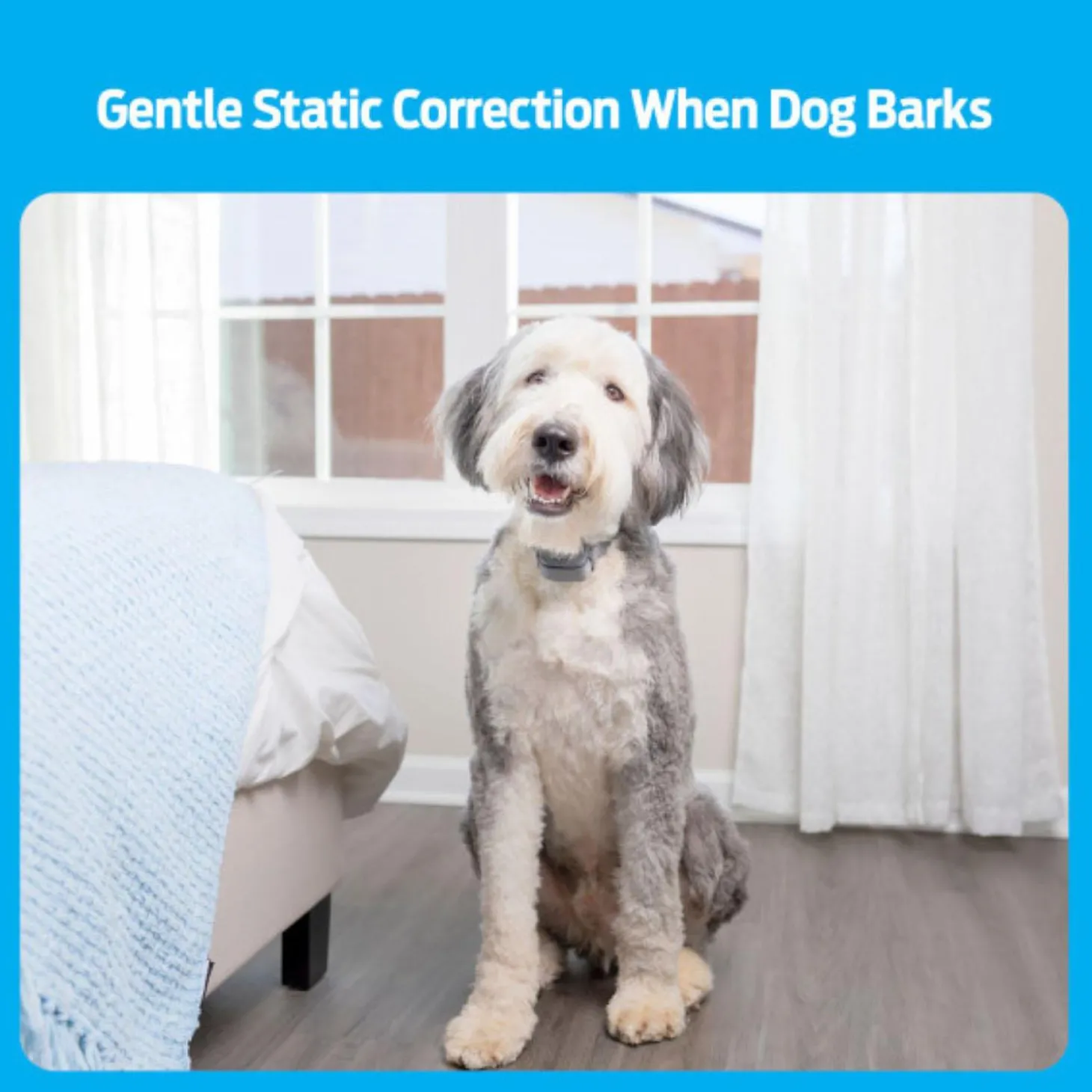 Bark Dog Collar