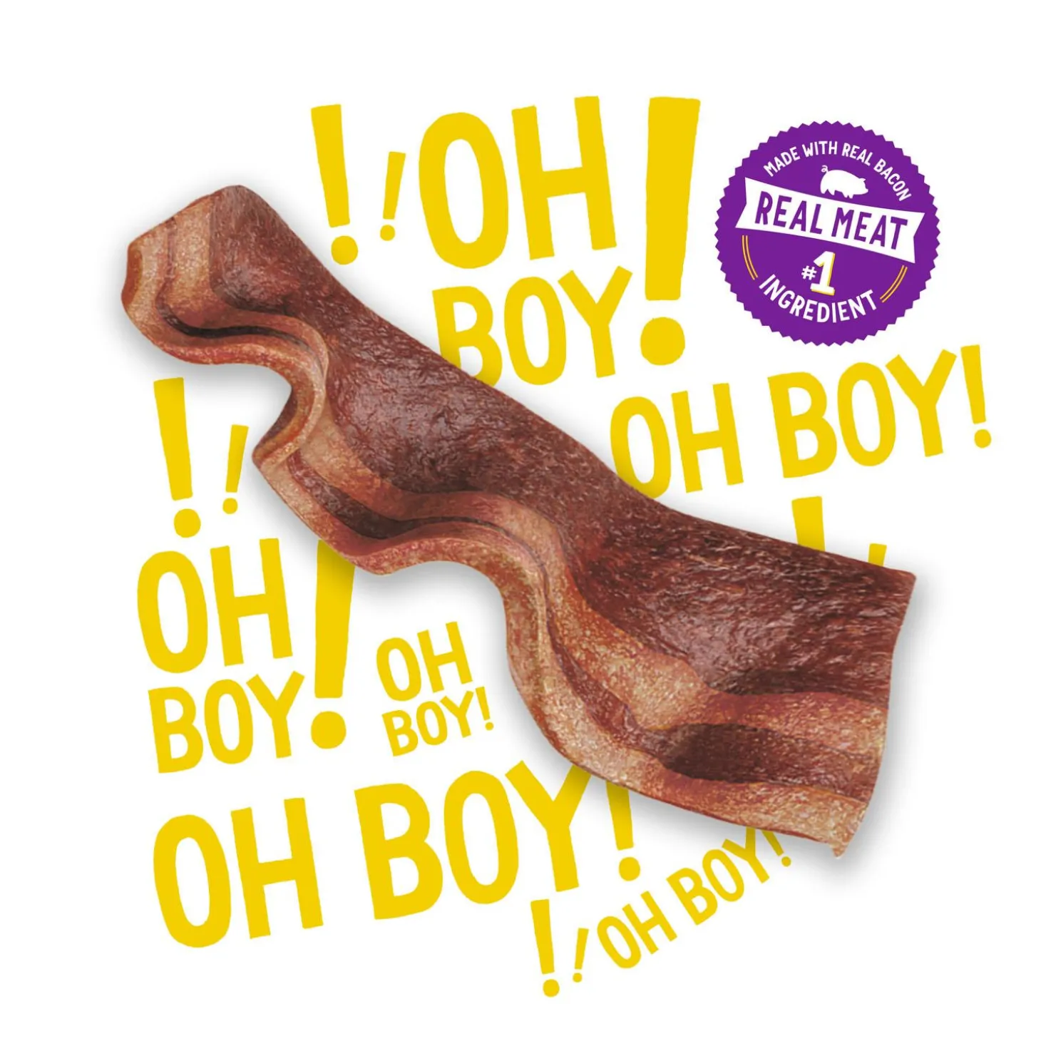 Beggin' Strips with Bacon Dog Treats