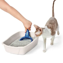Beige Litter Pan