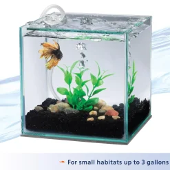 Betta Filter with Natural Plant