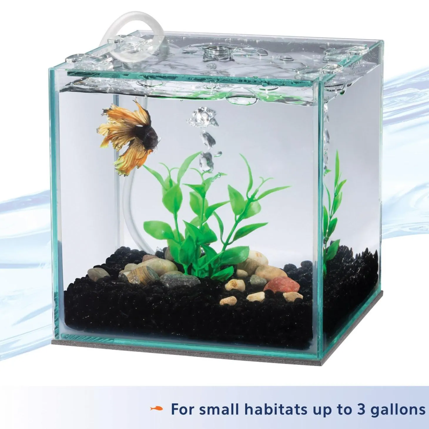 Betta Filter with Natural Plant