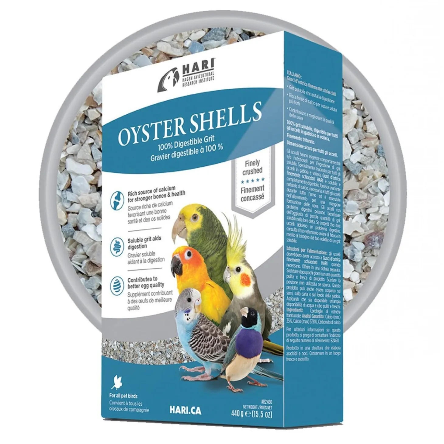 Bird Oyster Shell