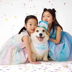 Birthday Cake Hat
