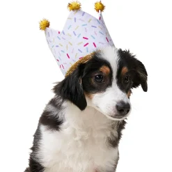 Birthday Girl Hat