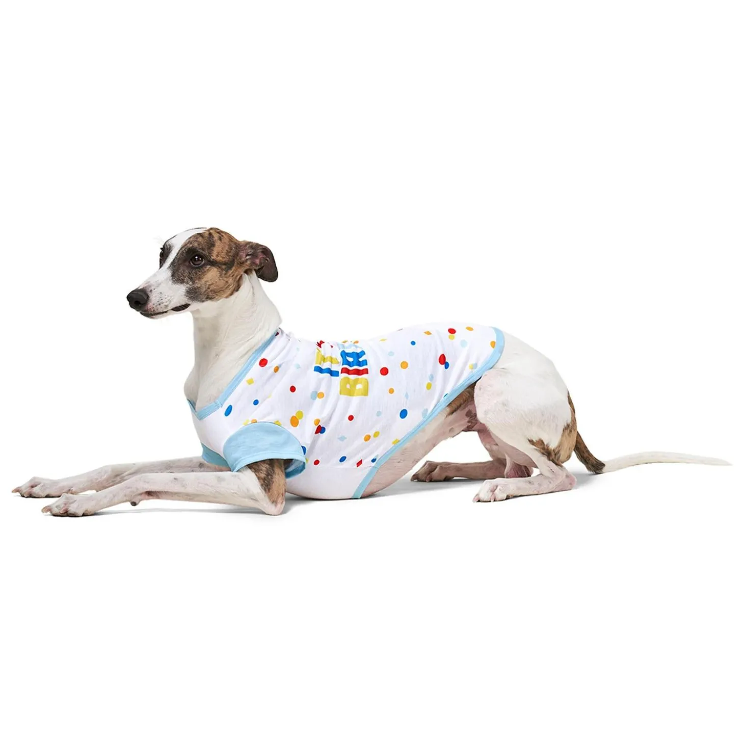 Birthday Graphic T-Shirt