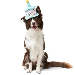Birthday Hat