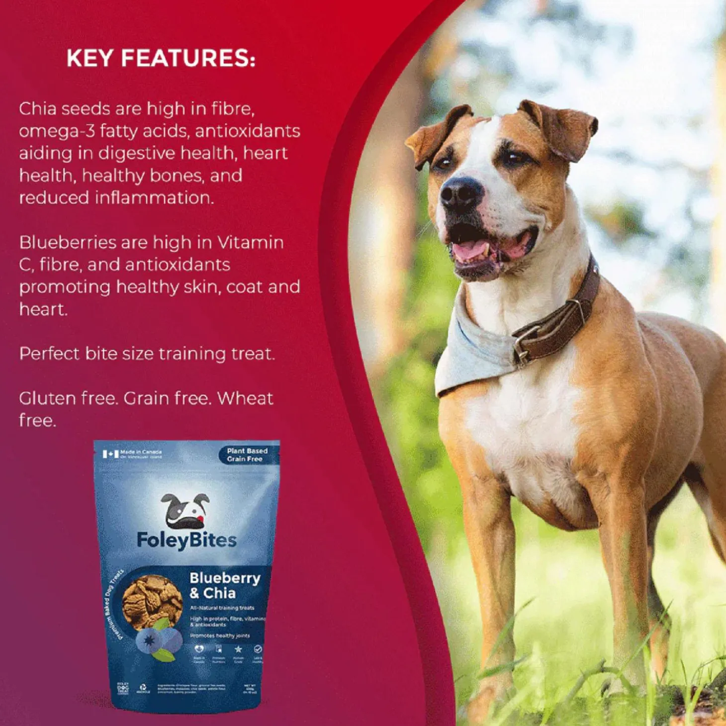 Bites Plant Based Blueberry & Chia Dog Treats