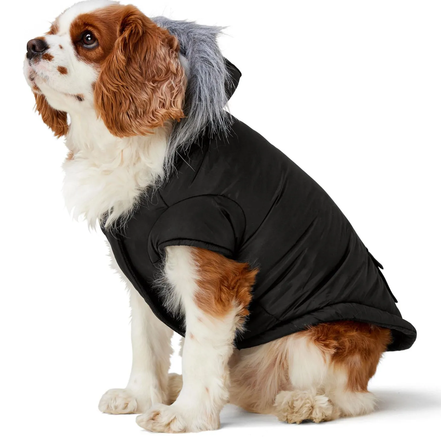 Black Parka