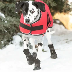 Blanket Red Jacket