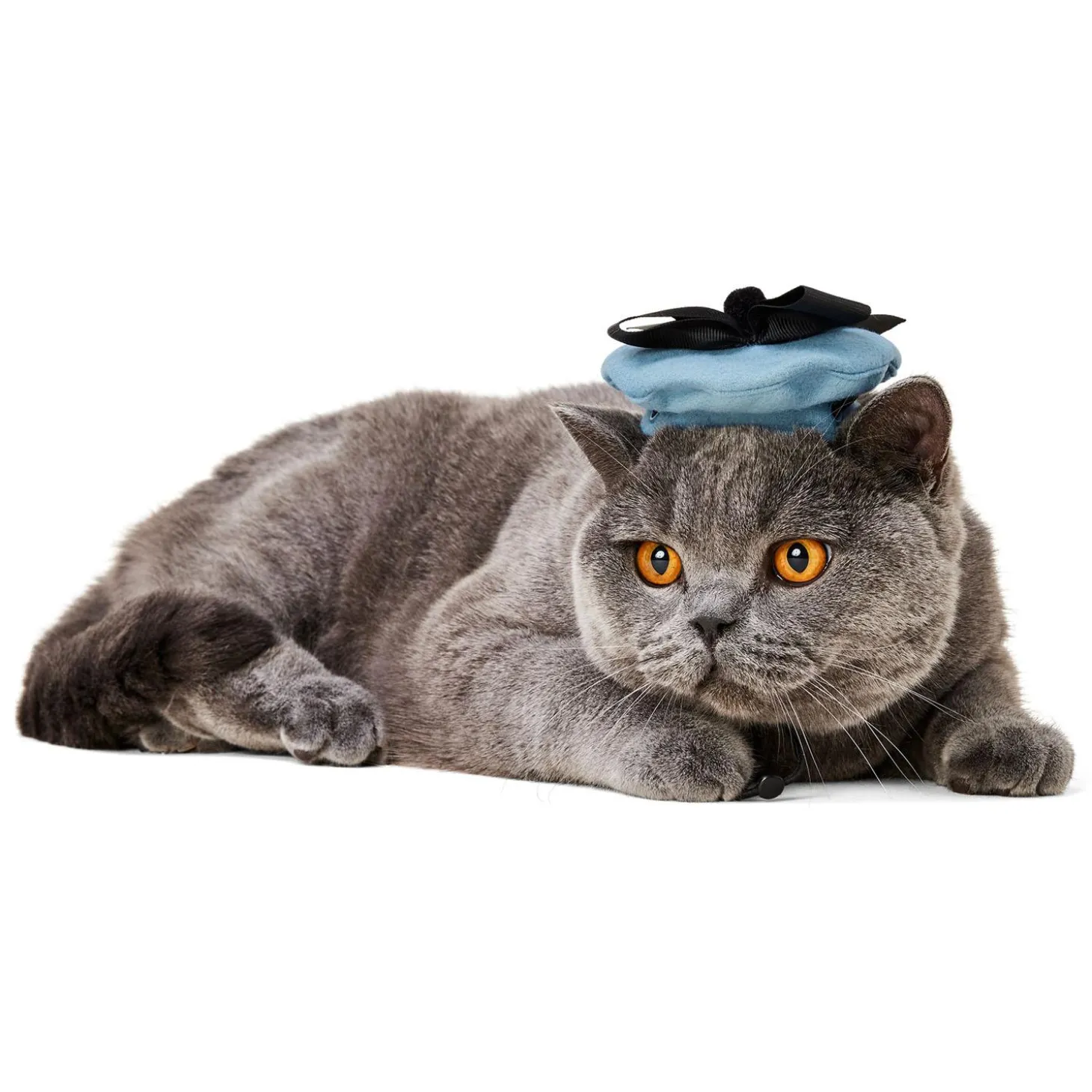 Blue Beret Hat