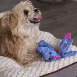 Blue Dragon Dog Toy