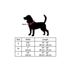 Bone Reflective Cushion Neoprene Padded Dog Collar
