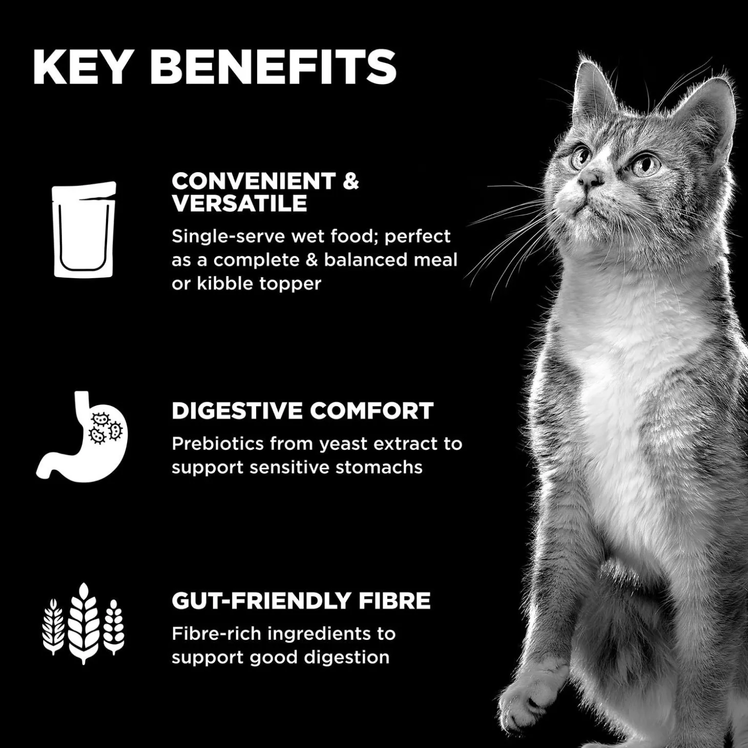 Booster Digestive Health Minced Chicken + Duck Recipe With Gravy Cat Food Topper