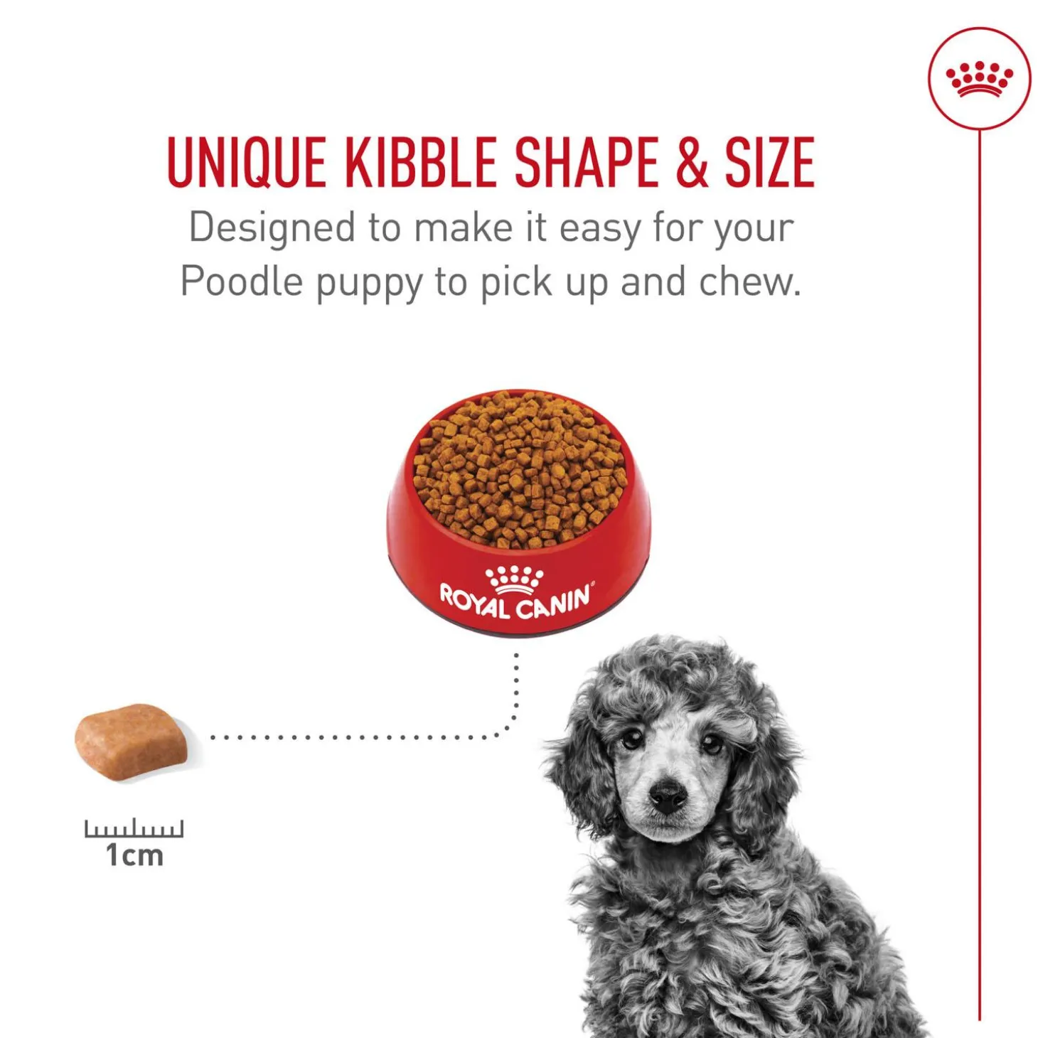 Breed Health Nutrition Poodle Puppy Dog Food
