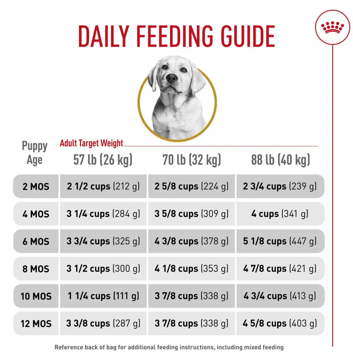 Breed Health Nutrition Puppy Labrador Retriever Dog Food