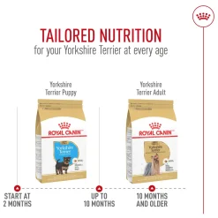 Breed Health Nutrition Yorkshire Terrier Adult Dog Food
