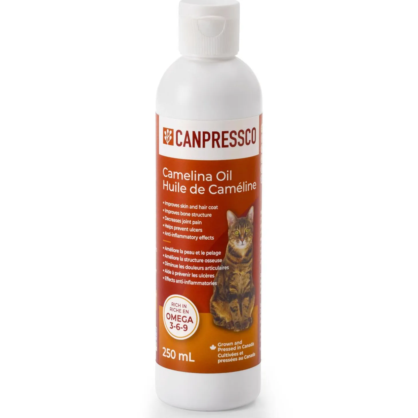 Camelina Oil Cat Supplement