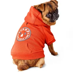 Camp Orange Hoodie