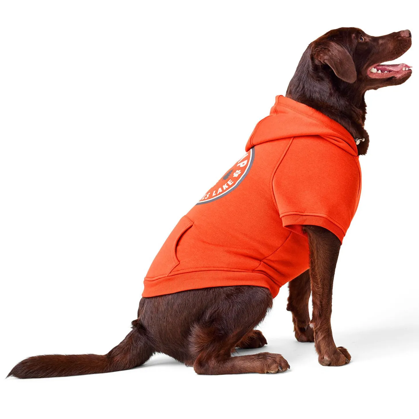 Camp Orange Hoodie