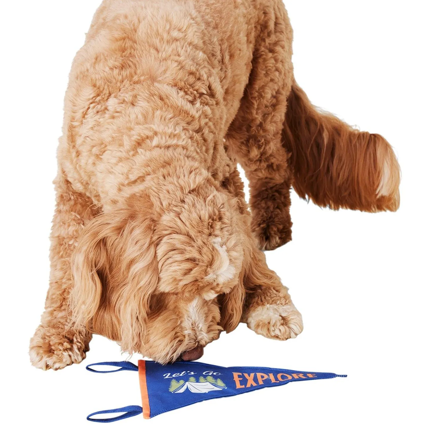 Camp Penant Dog Toy