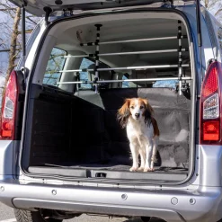 Car Dog Grid