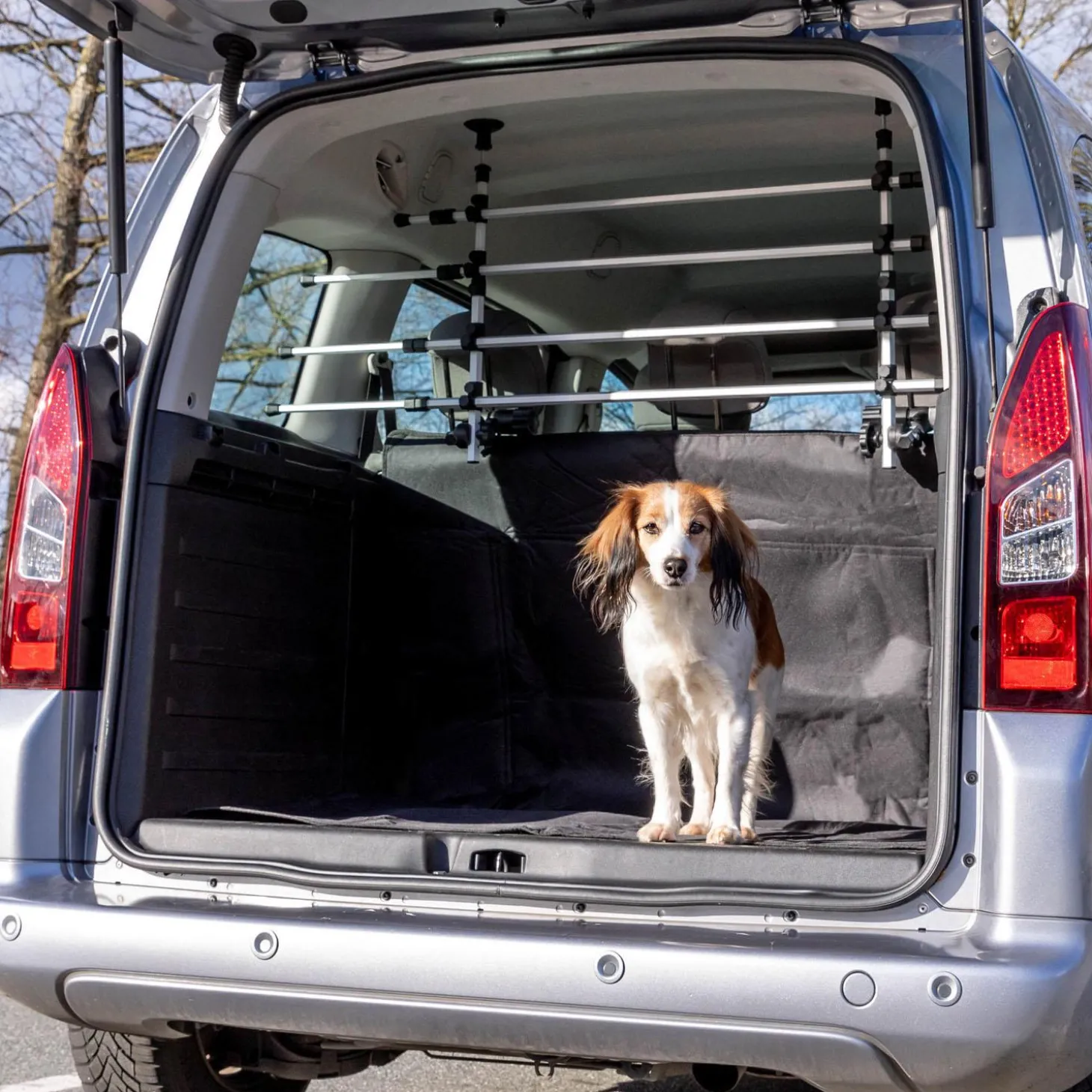 Car Dog Grid