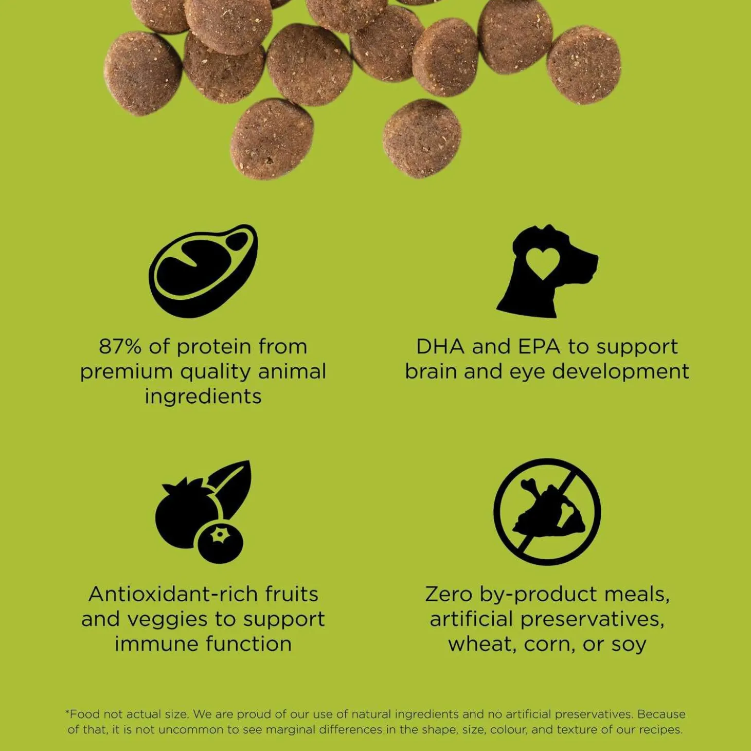 Carnivore Grain-Free Chicken, Turkey + Duck Recipe Puppy Dog Food