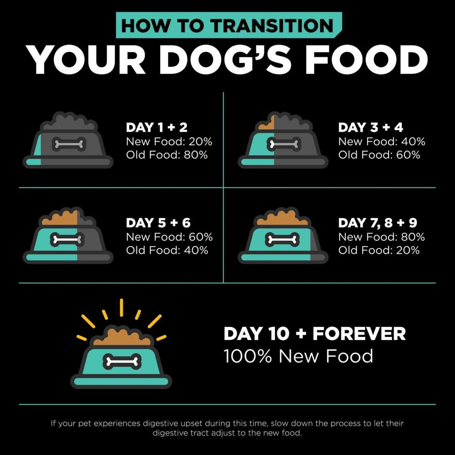Carnivore Grain-Free Chicken, Turkey + Duck Recipe Adult Dog Food