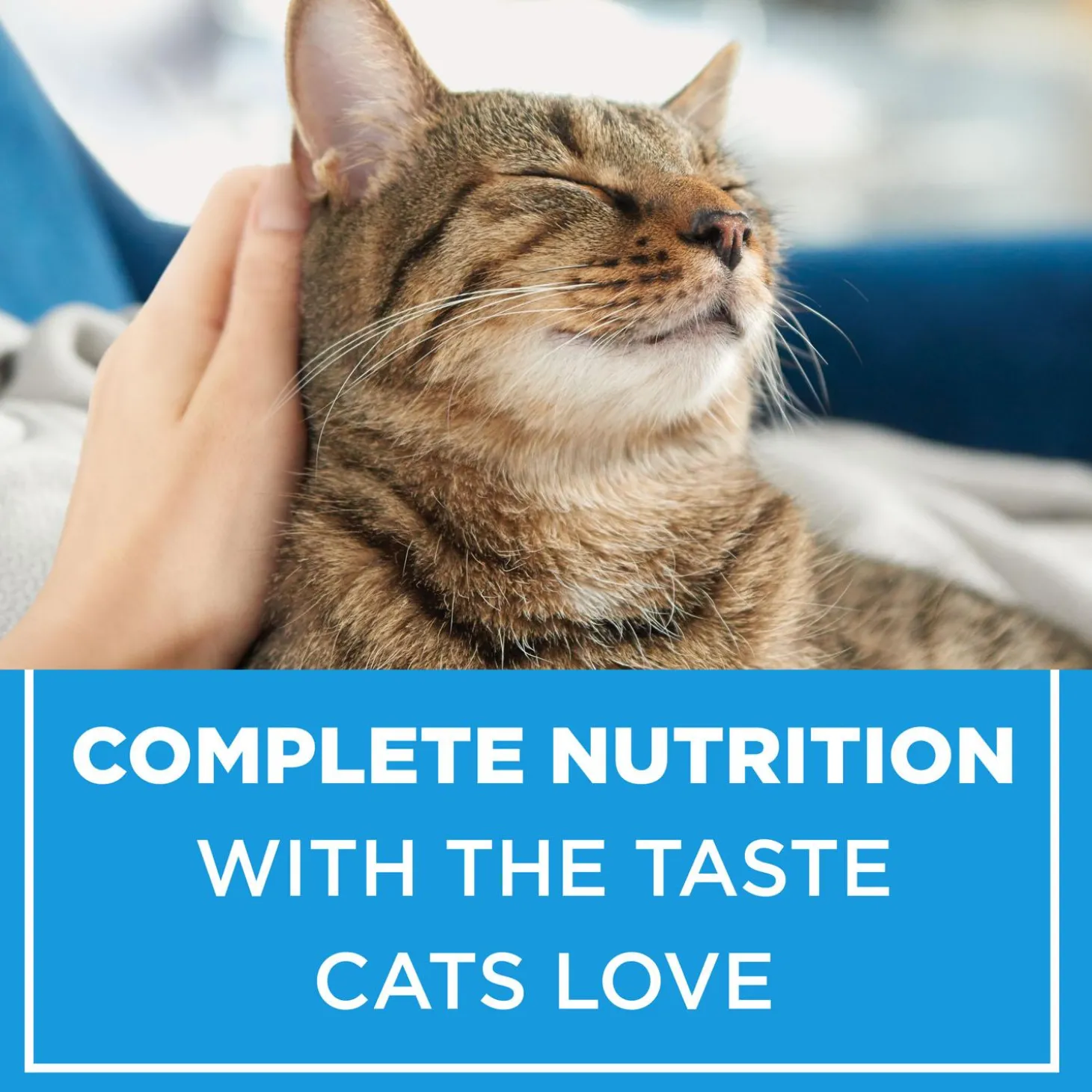 Cat Chow Complete Real Chicken Cat Food