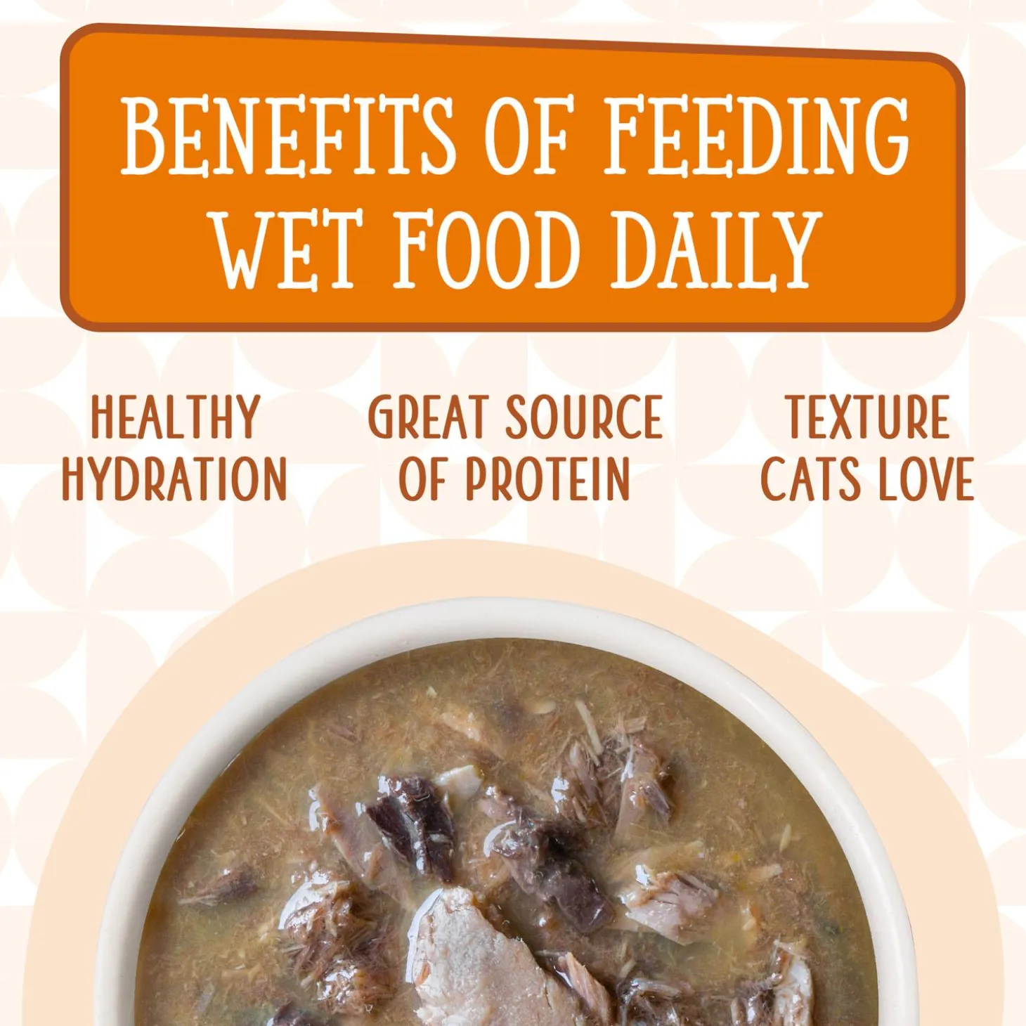 Cats in the Kitchen Pumpkin Jack Splash Tuna in Pumpkin Soup Recipe Adult Cat Food