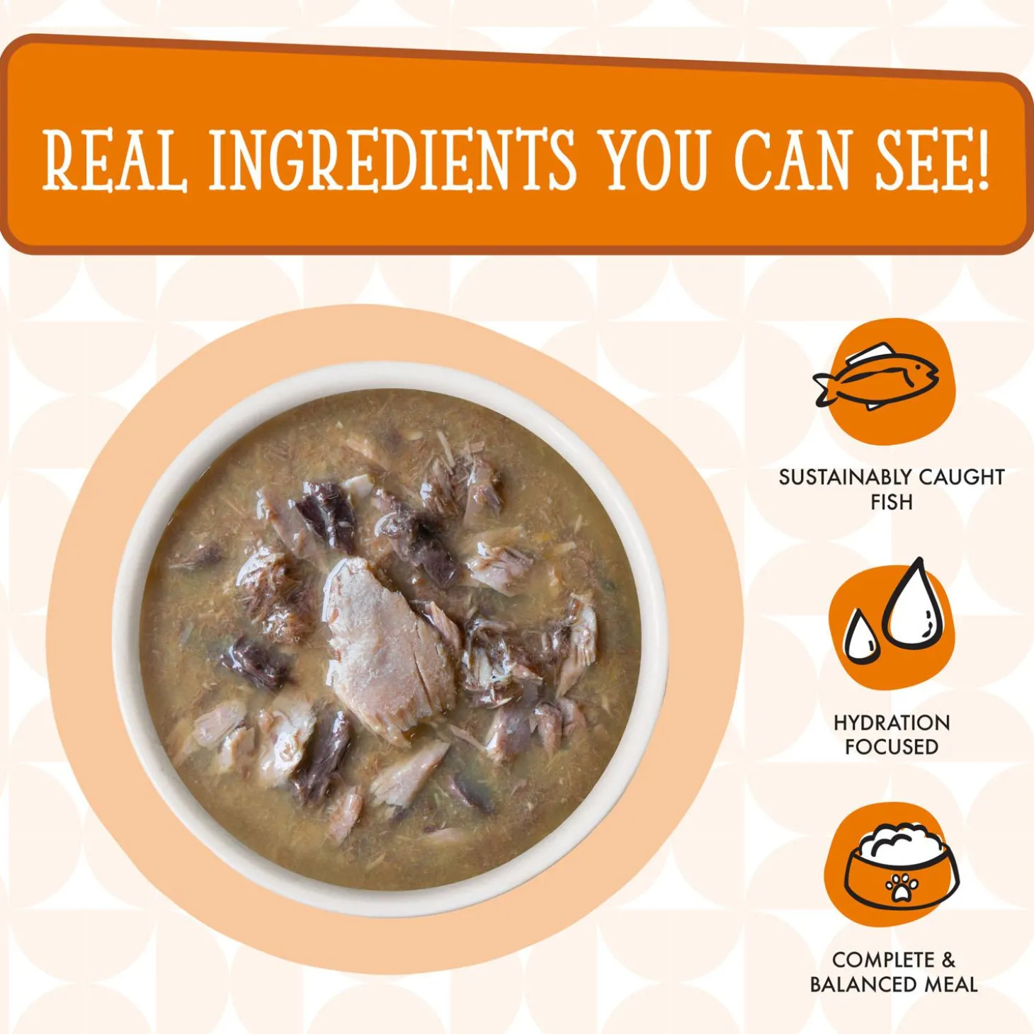 Cats in the Kitchen Pumpkin Jack Splash Tuna in Pumpkin Soup Recipe Adult Cat Food