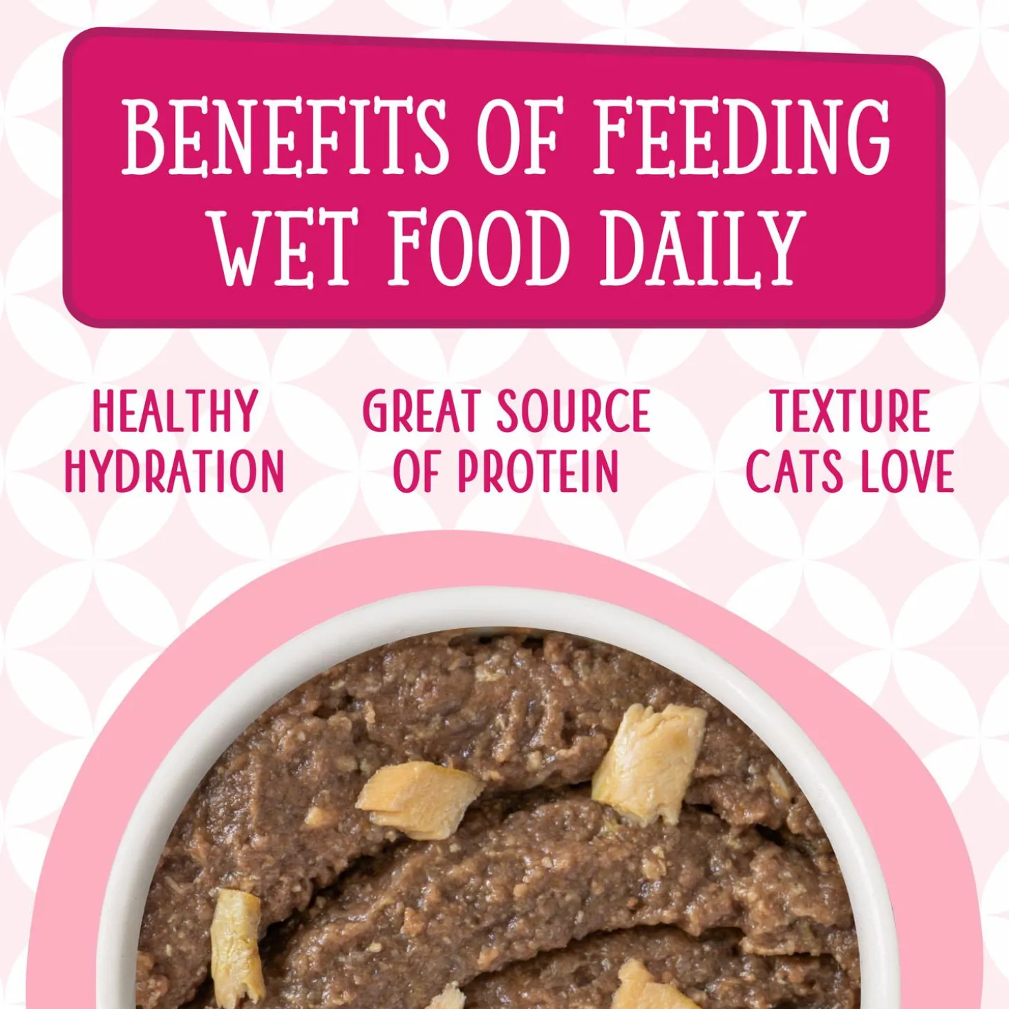 Cats in the Kitchen The Karate Kitty Beef & Salmon Dinner Adult Cat Food