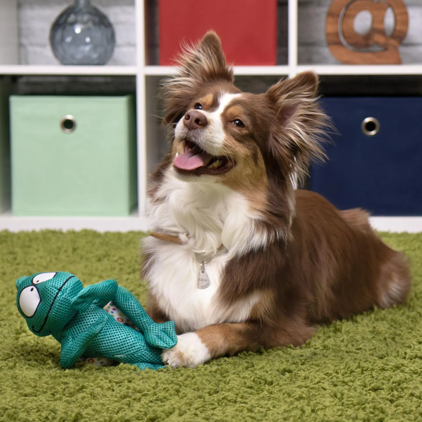 Chameleon Dog Toy