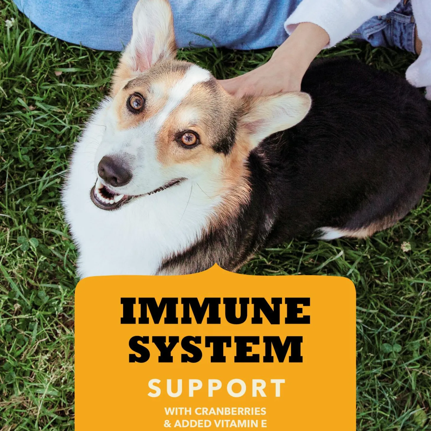 Chewy Strips Immune System Support Chicken Recipe Dog Treats