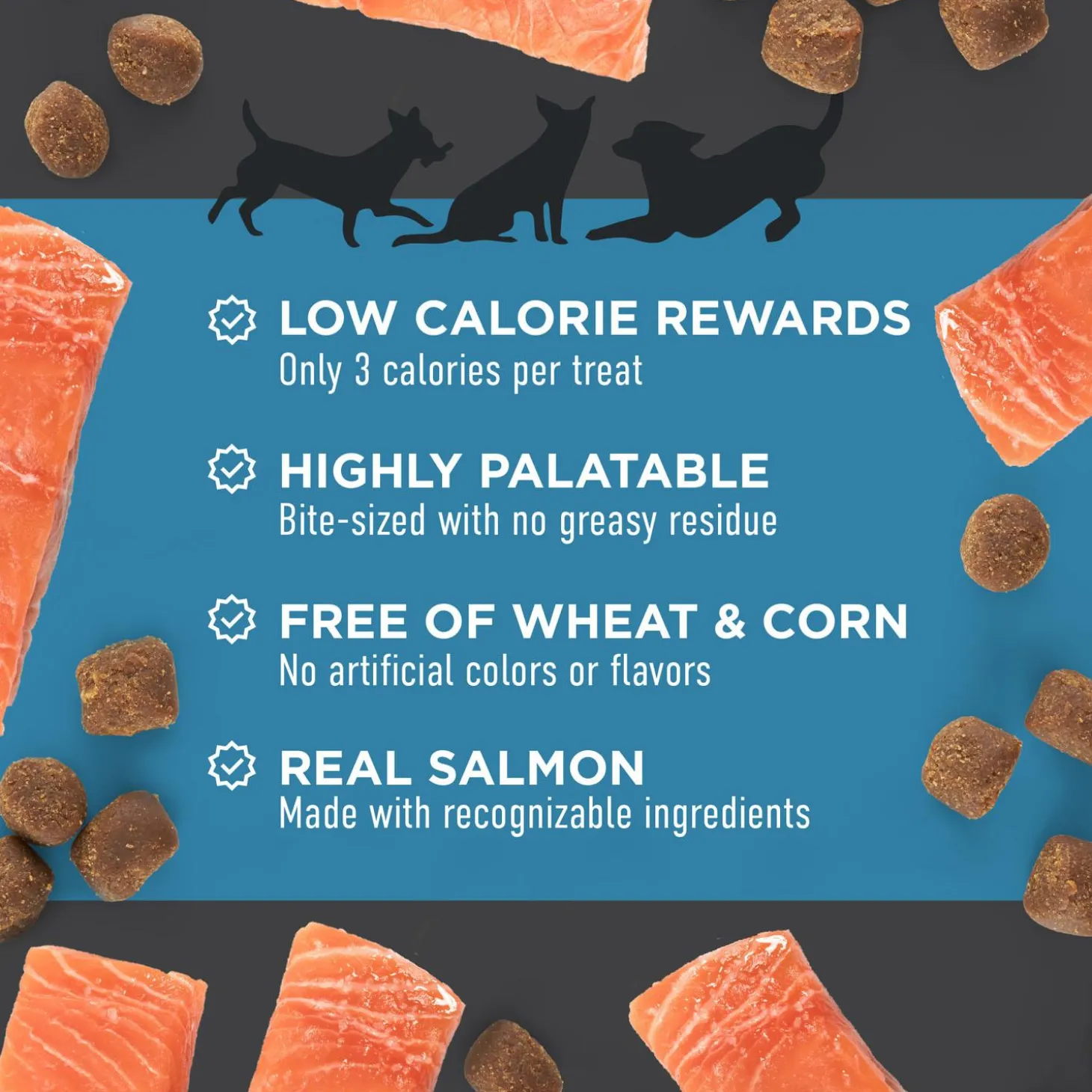 Chewy with Salmon Dog Treats