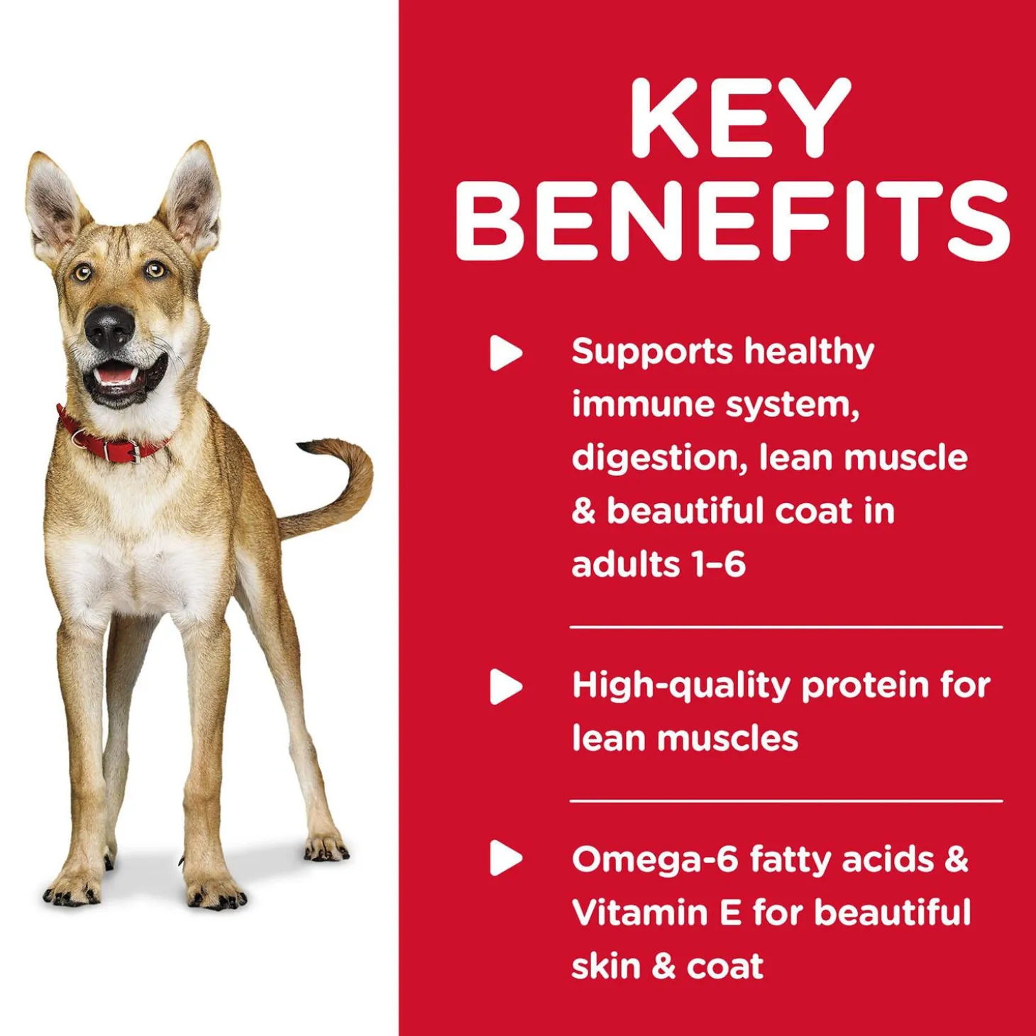 Chicken & Barley Entree Adult Dog Food
