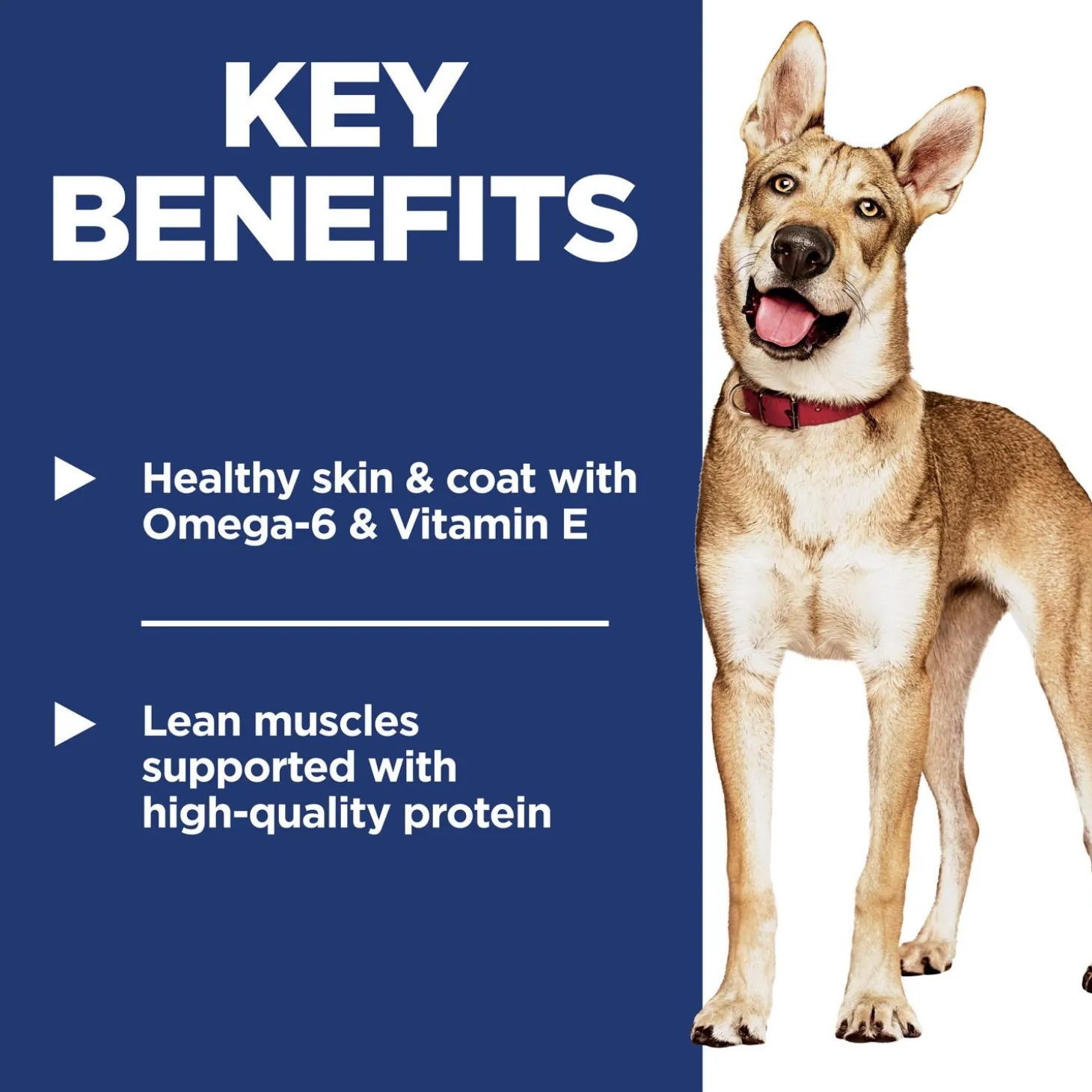 Chicken & Barley Recipe Adult Dog Food
