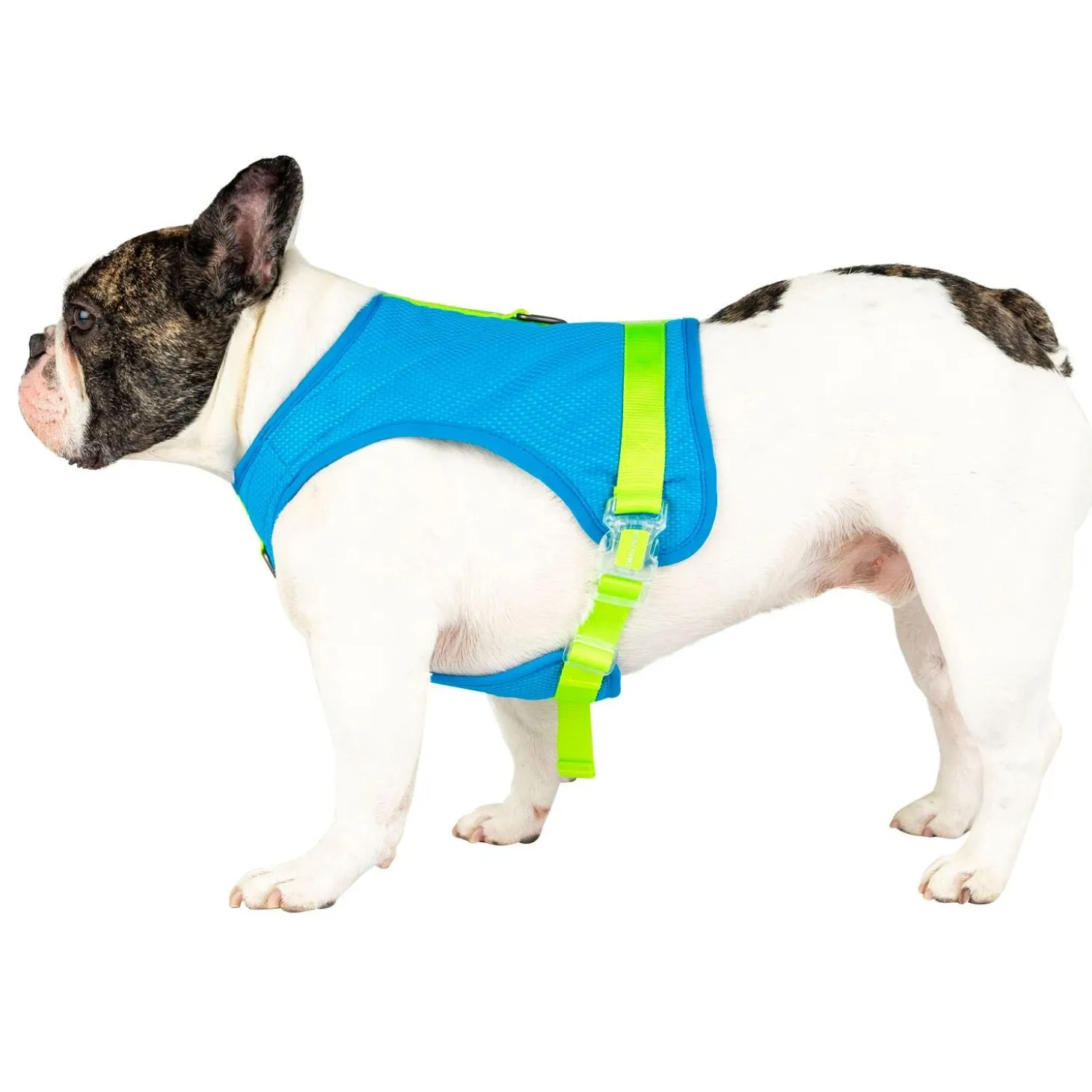 Chill Seeker Blue Cooling Harness