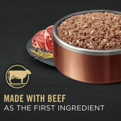 Classic Complete Essentials Beef & Rice Entree Adult Dog Food