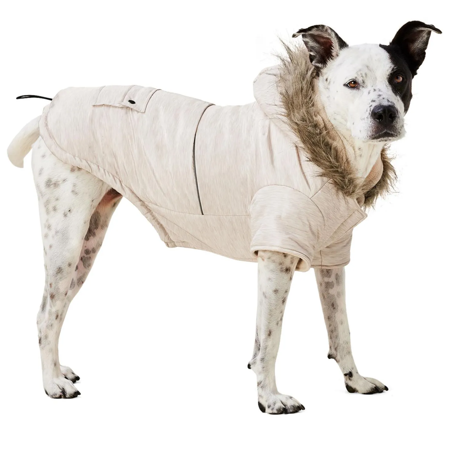 Classic Oat Parka